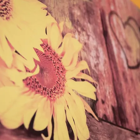Il Fiore Di Gio * Bolonha